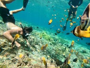 Gamat Bay Snorkeling Nusa Penida