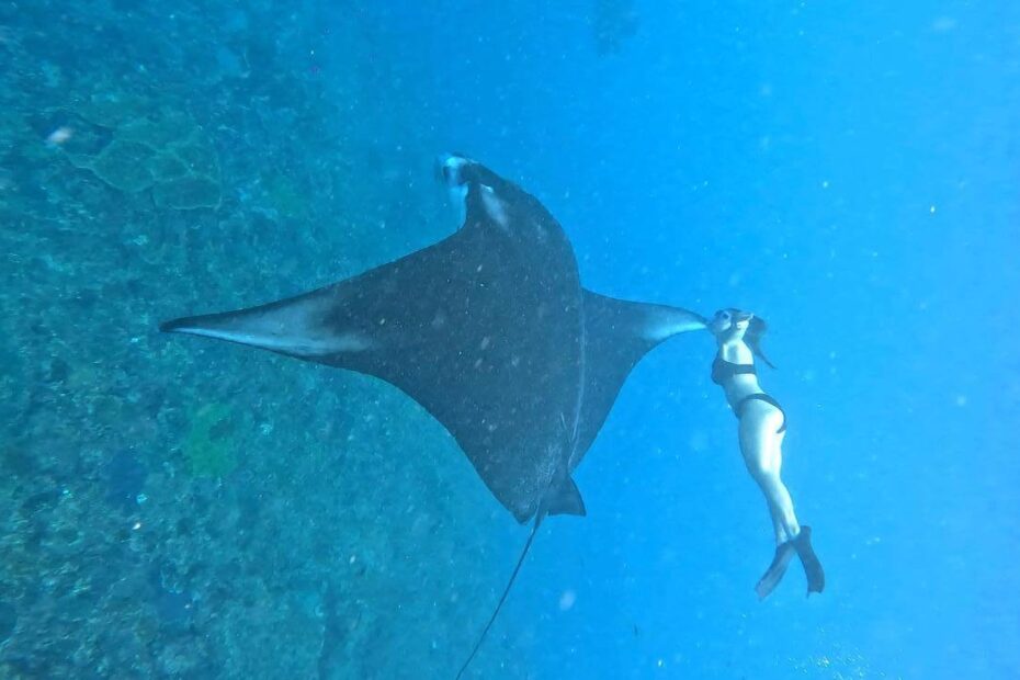 Manta Point Snorkeling Nusa Penida