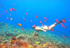 Wall Point Snorkeling Nusa Penida