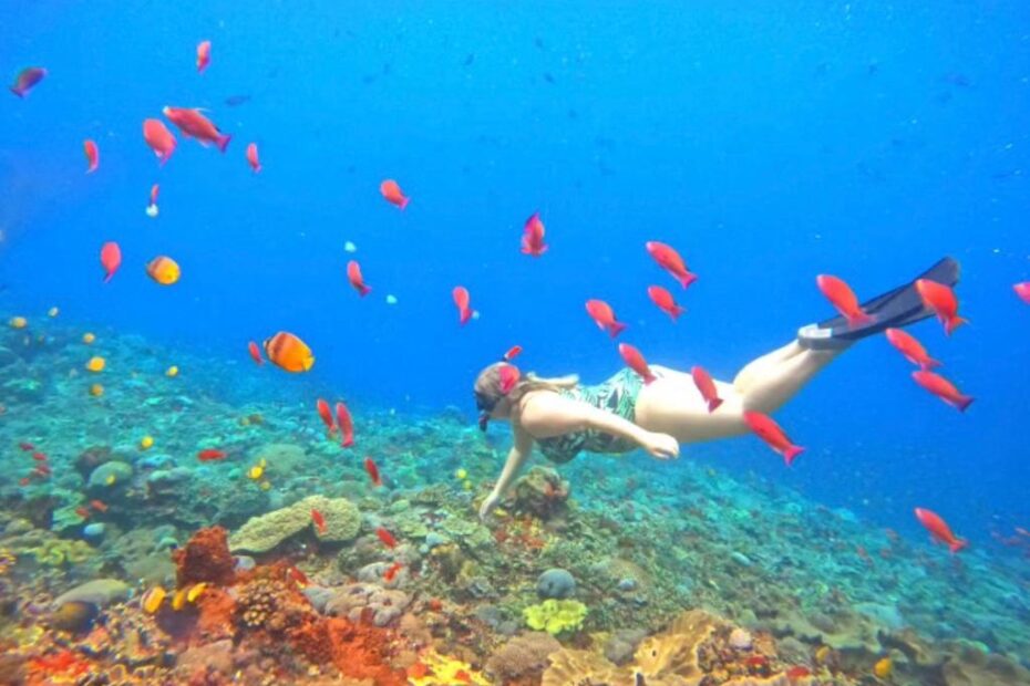 Wall Point Snorkeling Nusa Penida