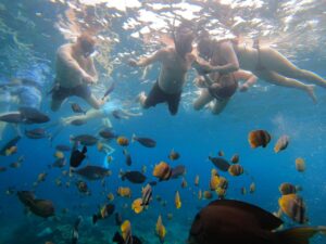 Snorkeling with Turtle & Manta in Nusa Penida