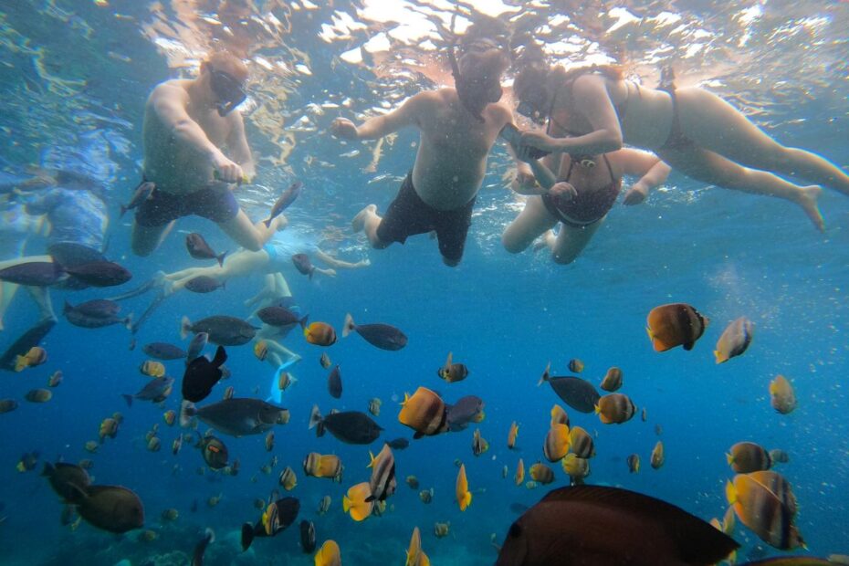 Snorkeling with Turtle & Manta in Nusa Penida