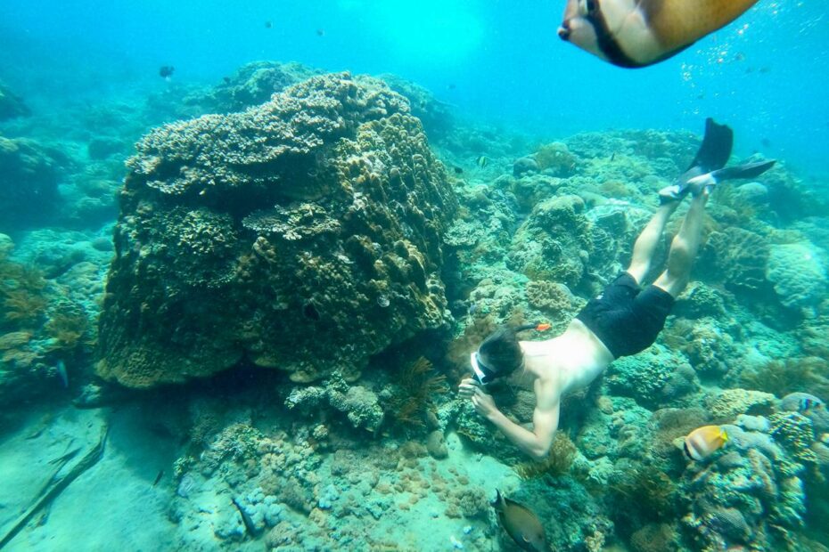 Gamat Bay Nusa Penida