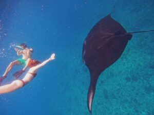 manta snorkeling nusa penida