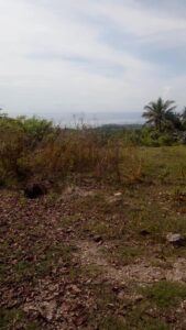 Land for sale in nusa penida 