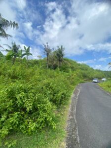 land for sale in nusa penida 3