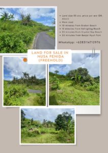 land for sale in nusa penida 