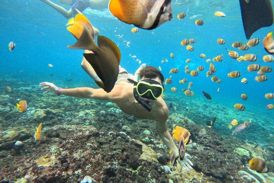 Snorkeling Nusa Penida